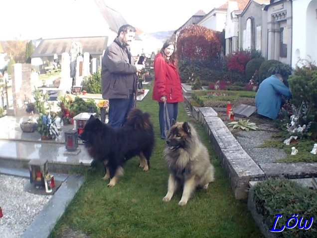 2.11.2025 - Allerseelen - Gräberbesuch